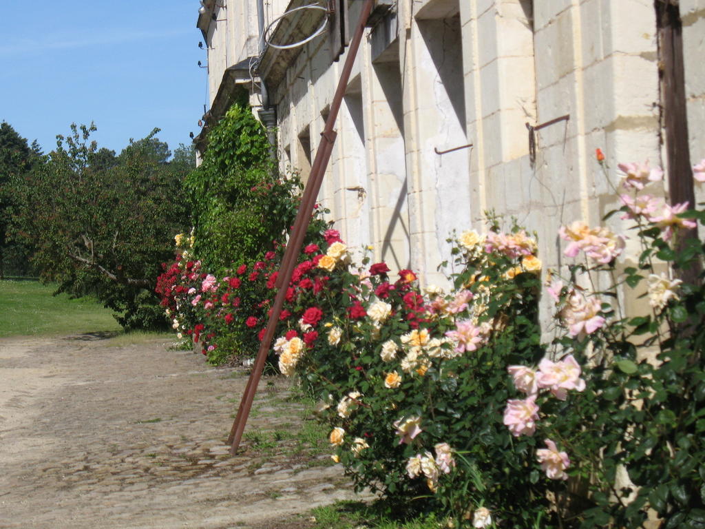 Jarzé La Mesnagerie Bed & Breakfast 部屋 写真